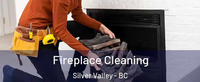  Fireplace Cleaning Silver Valley - BC