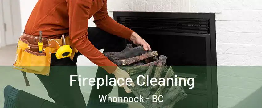  Fireplace Cleaning Whonnock - BC