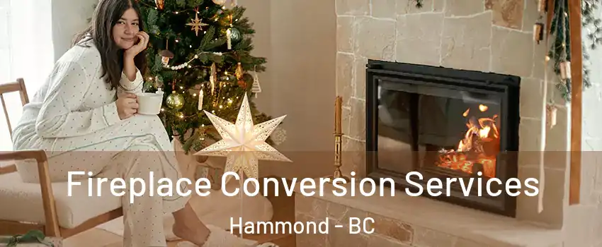  Fireplace Conversion Services Hammond - BC