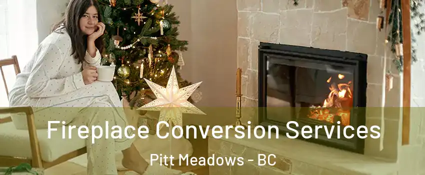  Fireplace Conversion Services Pitt Meadows - BC