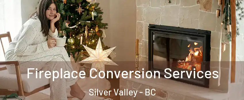  Fireplace Conversion Services Silver Valley - BC