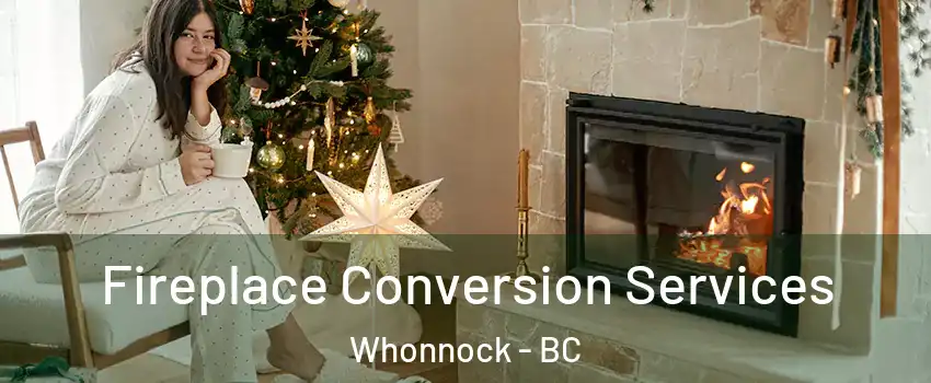  Fireplace Conversion Services Whonnock - BC
