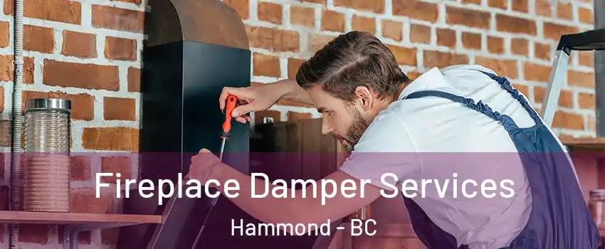  Fireplace Damper Services Hammond - BC