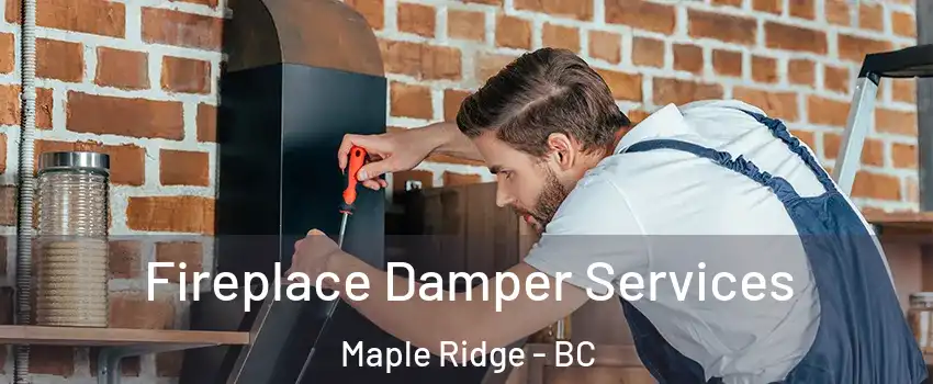  Fireplace Damper Services Maple Ridge - BC