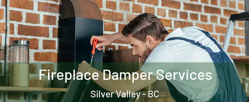  Fireplace Damper Services Silver Valley - BC