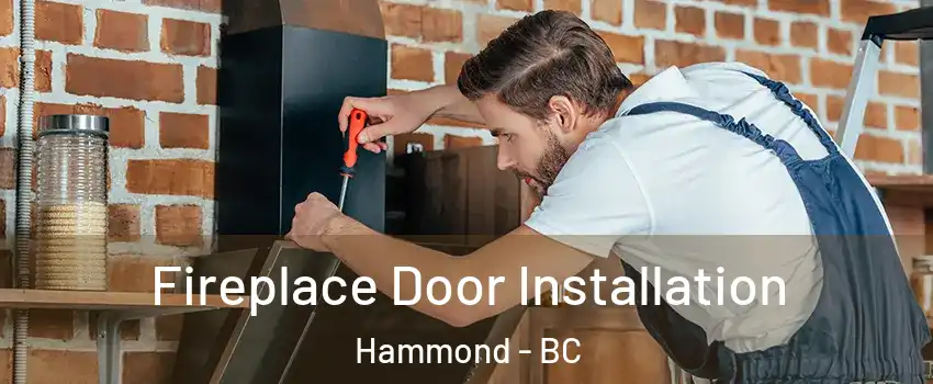  Fireplace Door Installation Hammond - BC