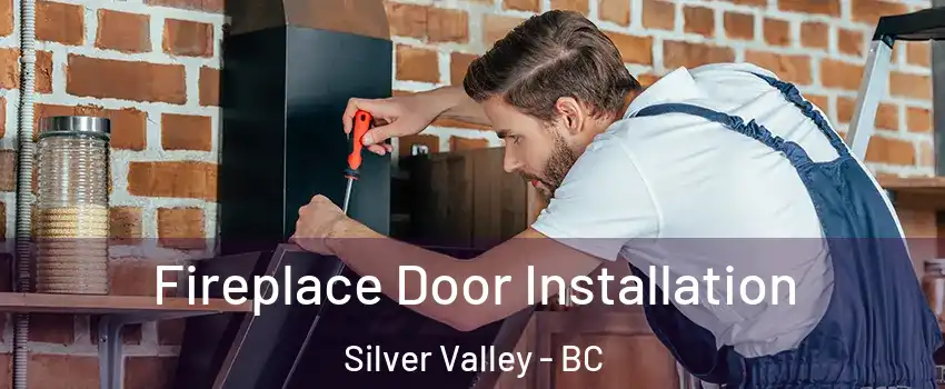 Fireplace Door Installation Silver Valley - BC