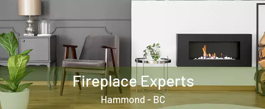  Fireplace Experts Hammond - BC