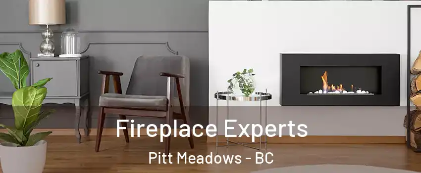  Fireplace Experts Pitt Meadows - BC
