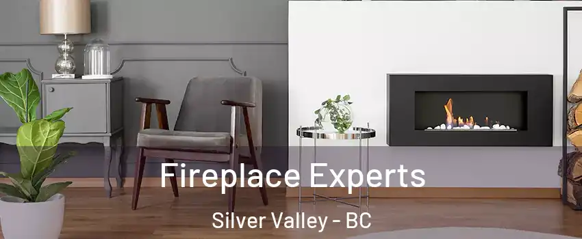  Fireplace Experts Silver Valley - BC