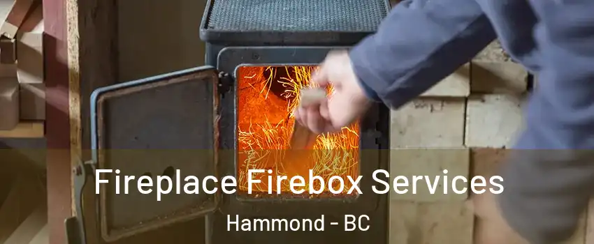  Fireplace Firebox Services Hammond - BC