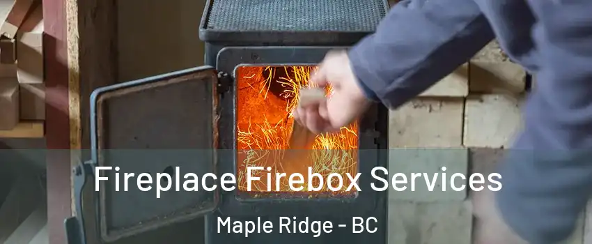  Fireplace Firebox Services Maple Ridge - BC