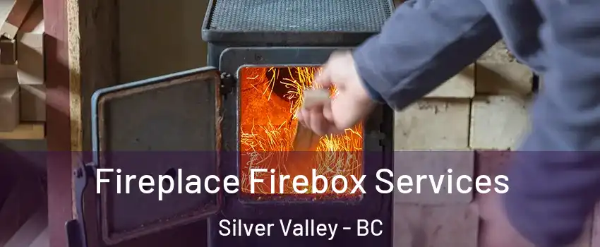  Fireplace Firebox Services Silver Valley - BC