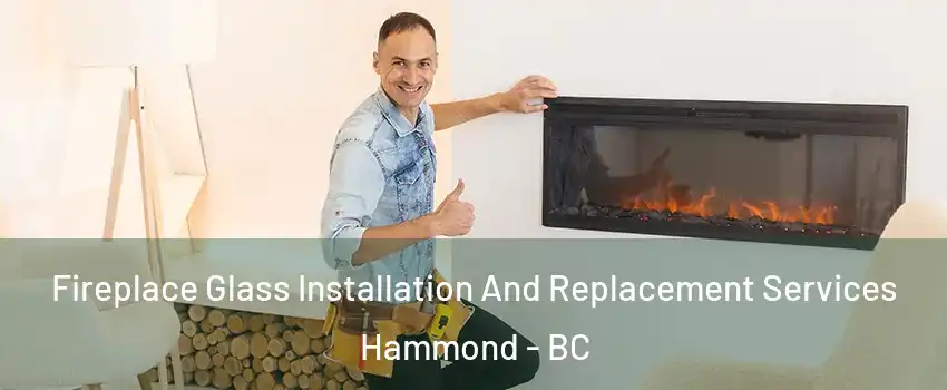  Fireplace Glass Installation And Replacement Services Hammond - BC