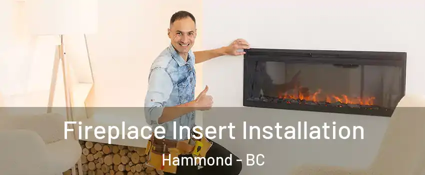 Fireplace Insert Installation Hammond - BC