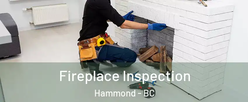  Fireplace Inspection Hammond - BC
