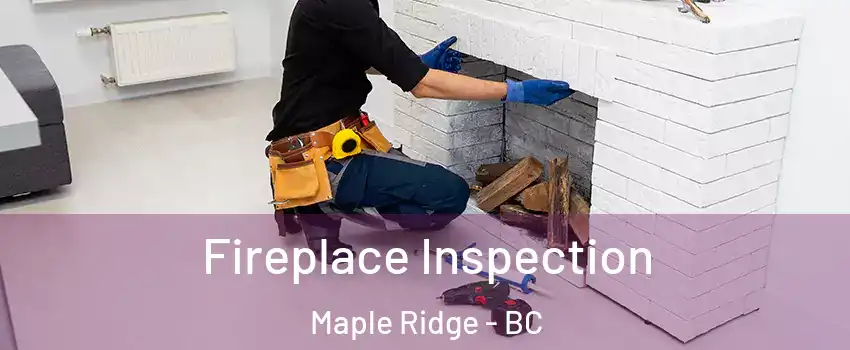  Fireplace Inspection Maple Ridge - BC