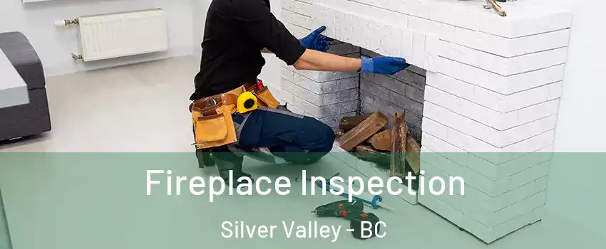  Fireplace Inspection Silver Valley - BC