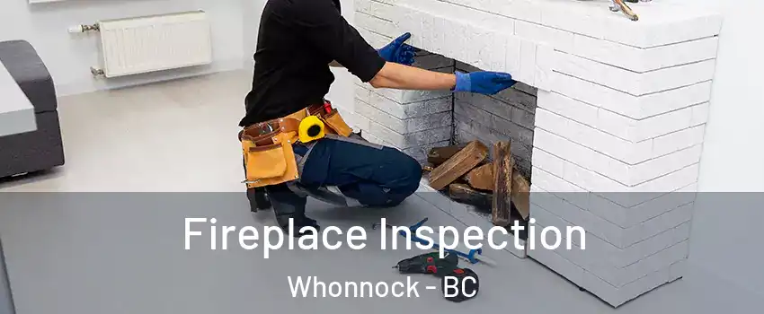  Fireplace Inspection Whonnock - BC