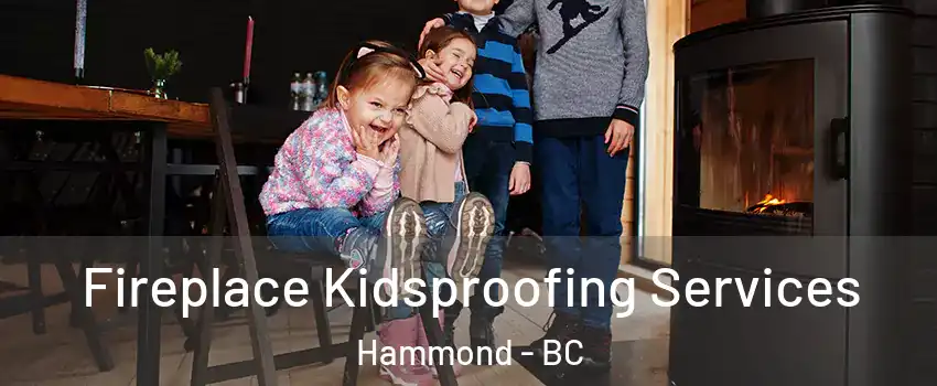  Fireplace Kidsproofing Services Hammond - BC