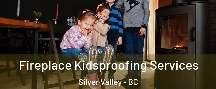  Fireplace Kidsproofing Services Silver Valley - BC