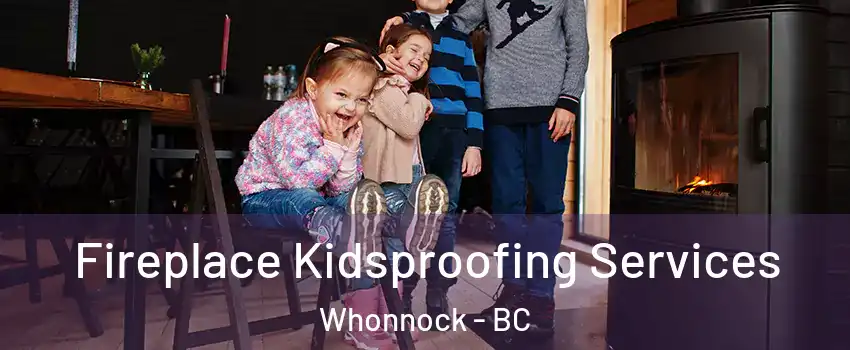  Fireplace Kidsproofing Services Whonnock - BC