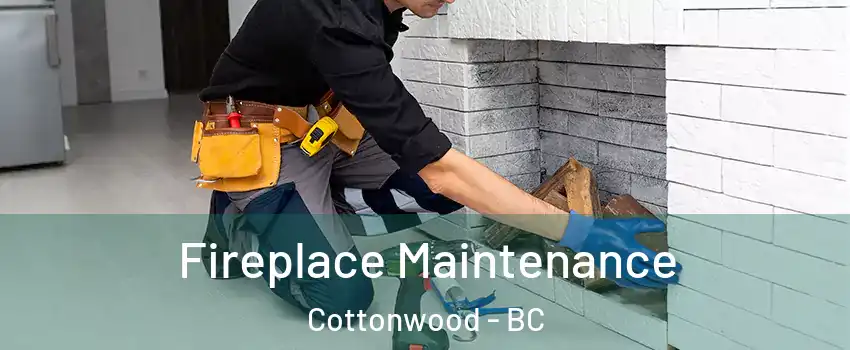  Fireplace Maintenance Cottonwood - BC