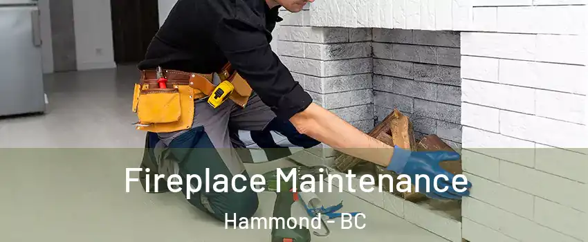  Fireplace Maintenance Hammond - BC