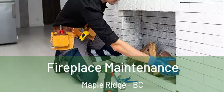  Fireplace Maintenance Maple Ridge - BC
