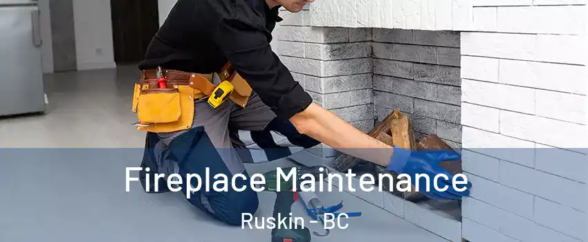 Fireplace Maintenance Ruskin - BC