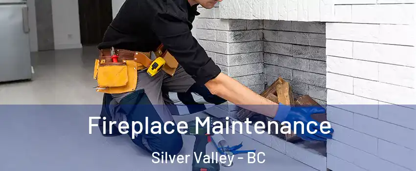  Fireplace Maintenance Silver Valley - BC