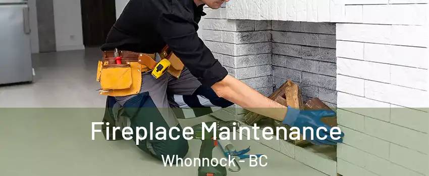  Fireplace Maintenance Whonnock - BC