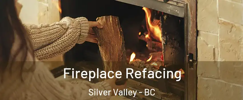  Fireplace Refacing Silver Valley - BC