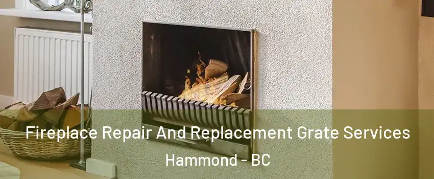  Fireplace Repair And Replacement Grate Services Hammond - BC