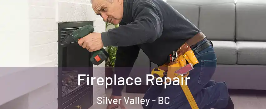  Fireplace Repair Silver Valley - BC
