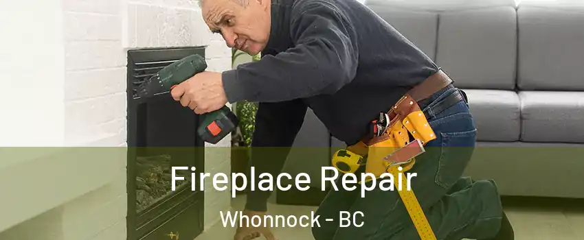  Fireplace Repair Whonnock - BC