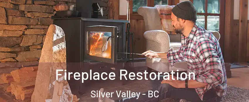  Fireplace Restoration Silver Valley - BC
