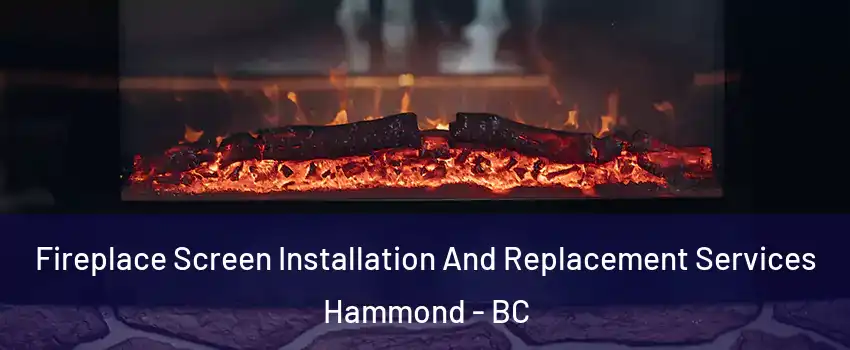  Fireplace Screen Installation And Replacement Services Hammond - BC