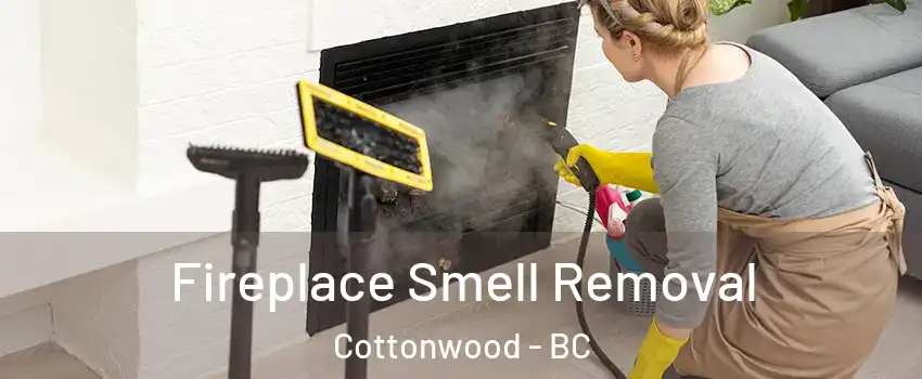  Fireplace Smell Removal Cottonwood - BC