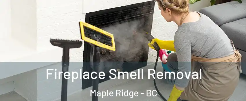  Fireplace Smell Removal Maple Ridge - BC