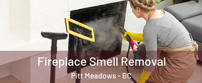  Fireplace Smell Removal Pitt Meadows - BC