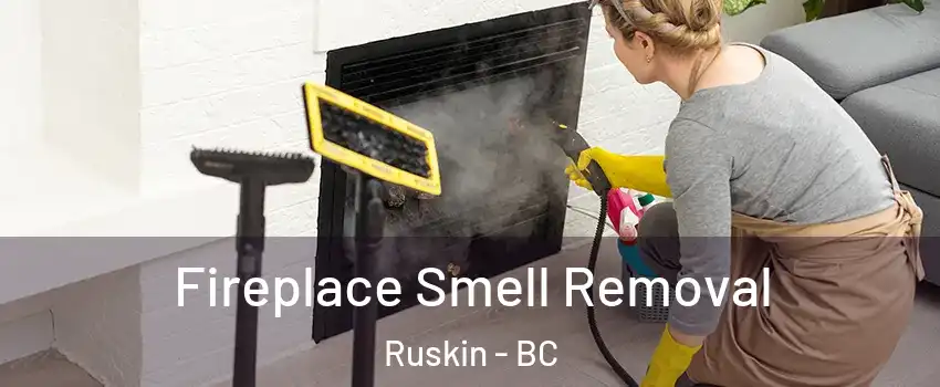  Fireplace Smell Removal Ruskin - BC