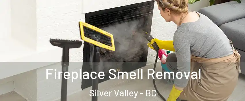  Fireplace Smell Removal Silver Valley - BC
