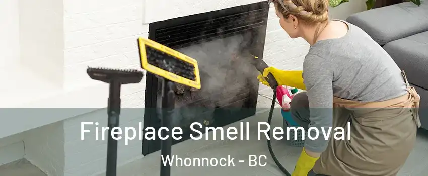  Fireplace Smell Removal Whonnock - BC