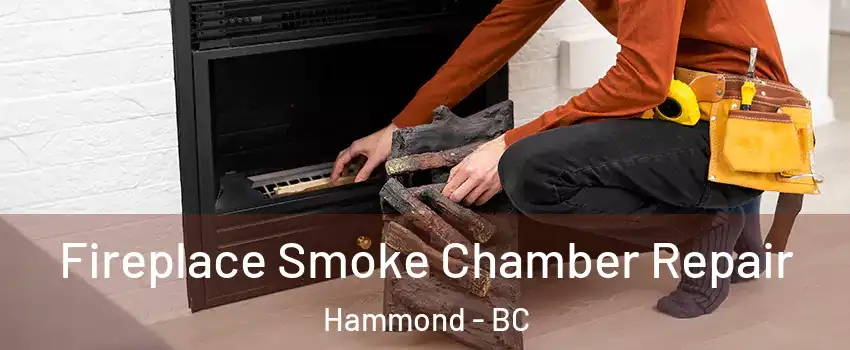  Fireplace Smoke Chamber Repair Hammond - BC