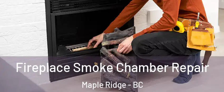  Fireplace Smoke Chamber Repair Maple Ridge - BC