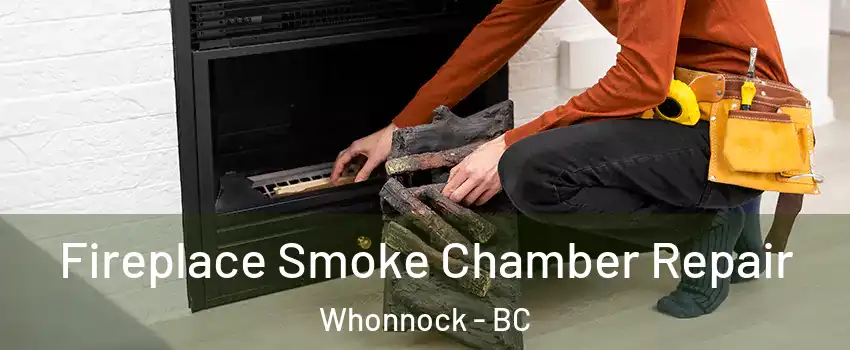  Fireplace Smoke Chamber Repair Whonnock - BC