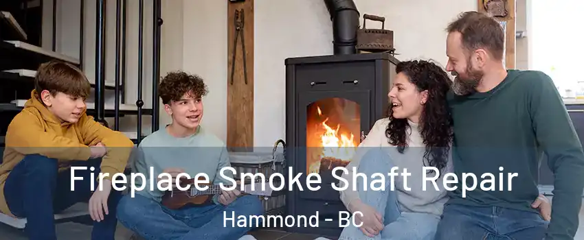  Fireplace Smoke Shaft Repair Hammond - BC