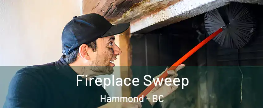  Fireplace Sweep Hammond - BC
