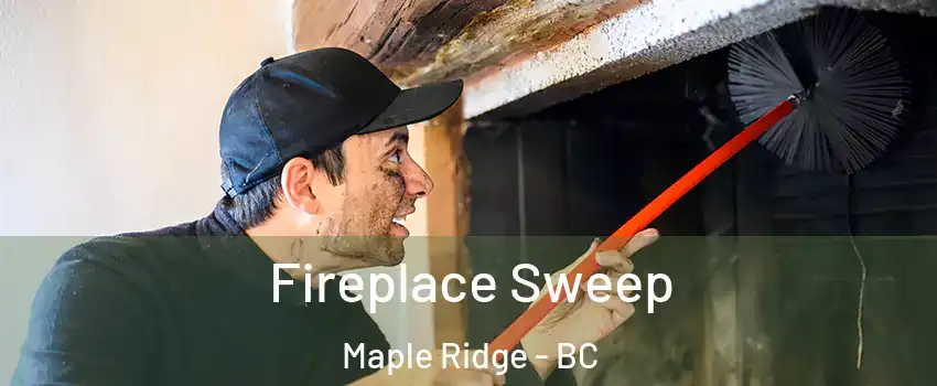  Fireplace Sweep Maple Ridge - BC